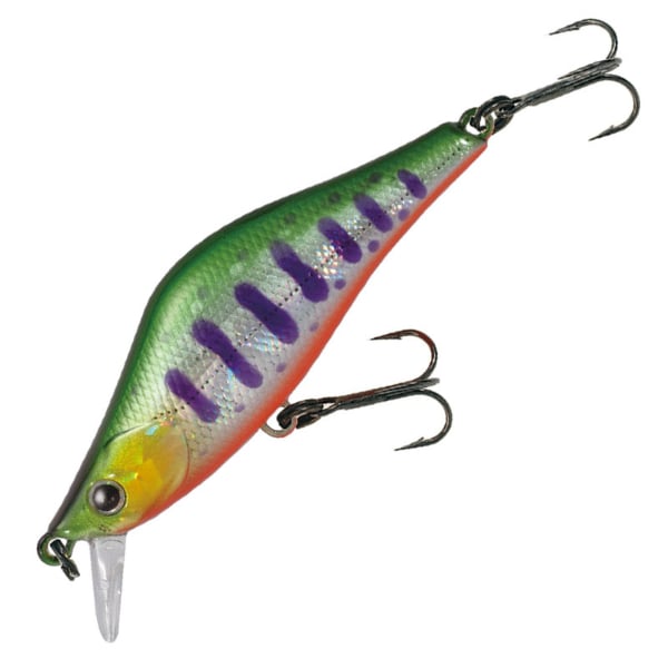 ラクス　５０Ｓ(＃０２３　ＨＧシンリョクヤマメ)